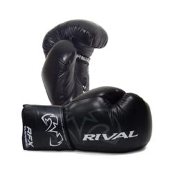 Jumbo Boxing Glove