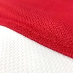 Amateur Competition-Training Boxing Trunks -RIVAL Boxinggear rap tr30 red 01