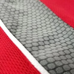 Amateur Competition-Training Boxing Trunks -RIVAL Boxinggear rap tr30 red 02